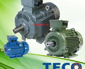 catalogue motor Teco